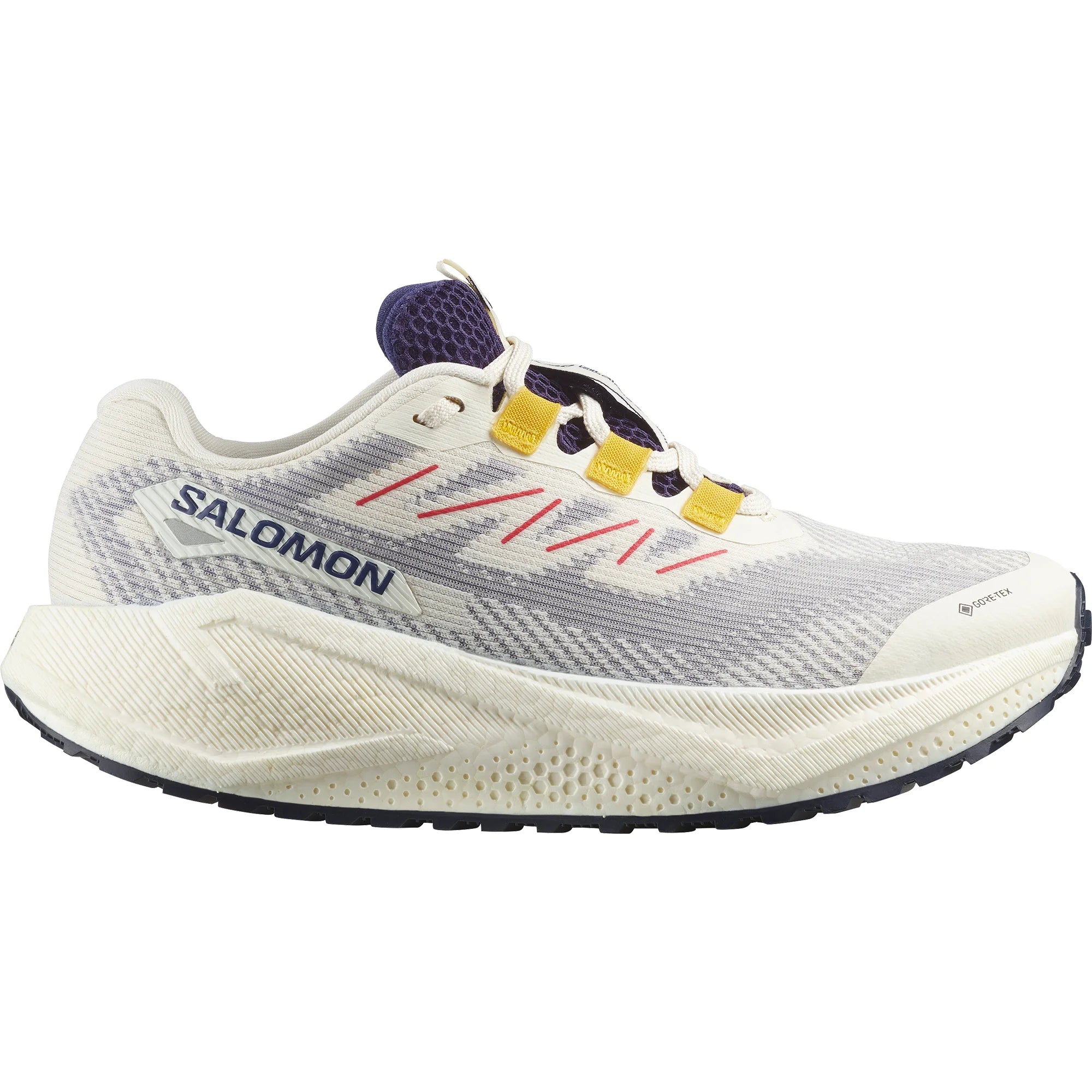 Salomon AERO BLAZE 3 GRVL gtx wmn vanila/astra