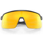 Oakley Sutro Lite matte carbon-prizm 24k
