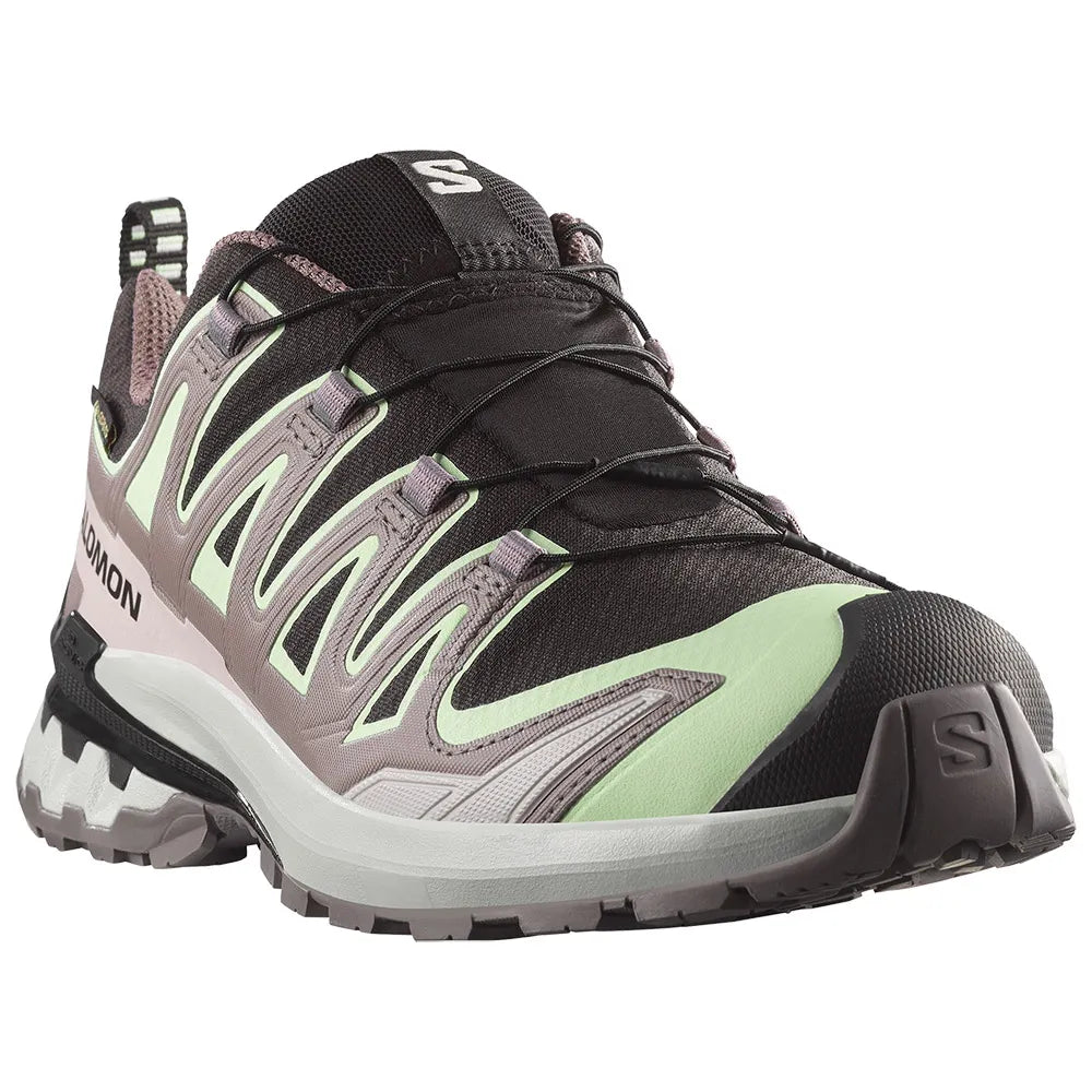 Salomon XA PRO 3D V9 GTX W Black/Pating/Gray Violet
