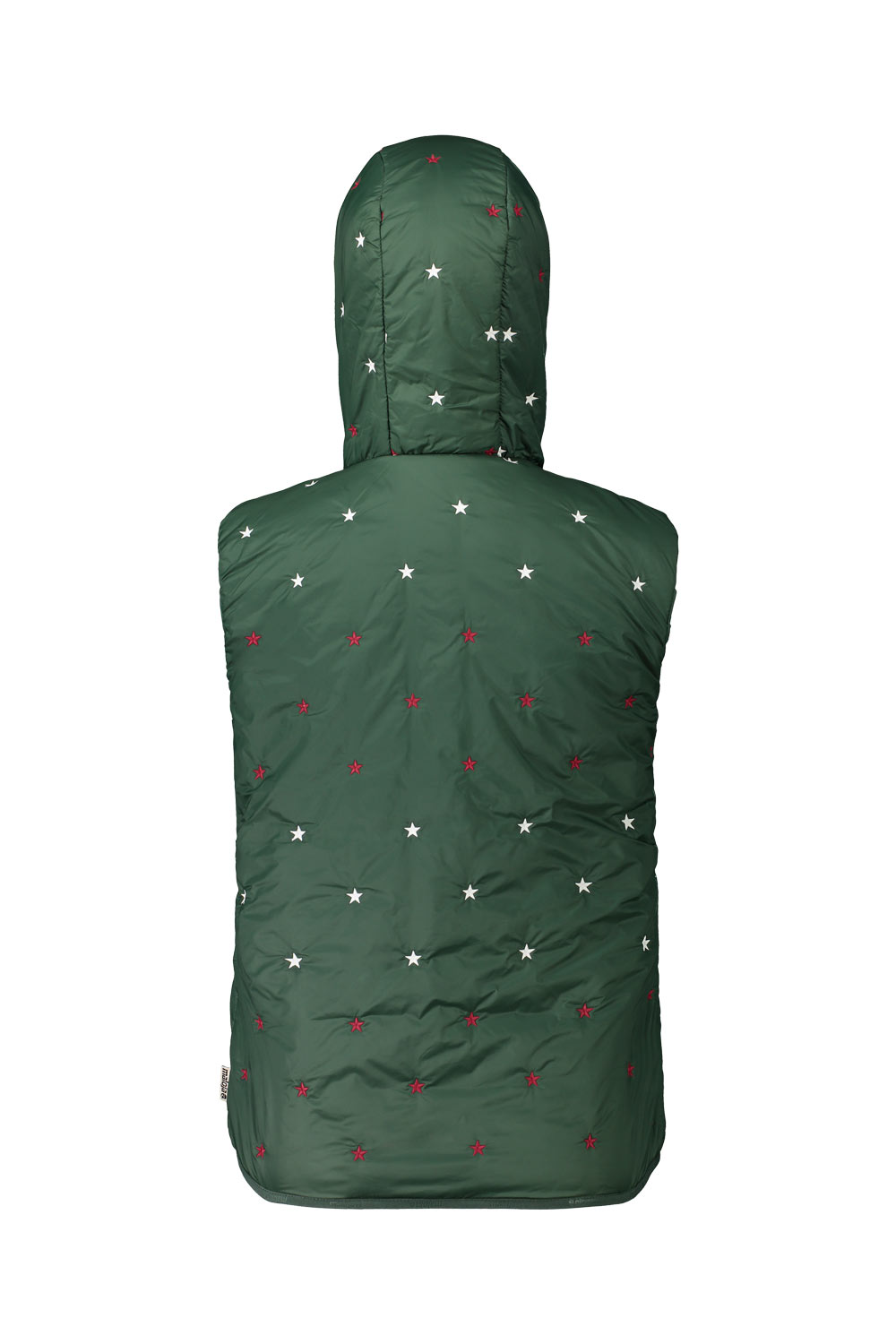 Maloja AlfraM forest glade