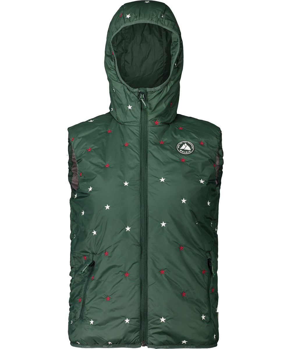 Maloja AlfraM forest glade