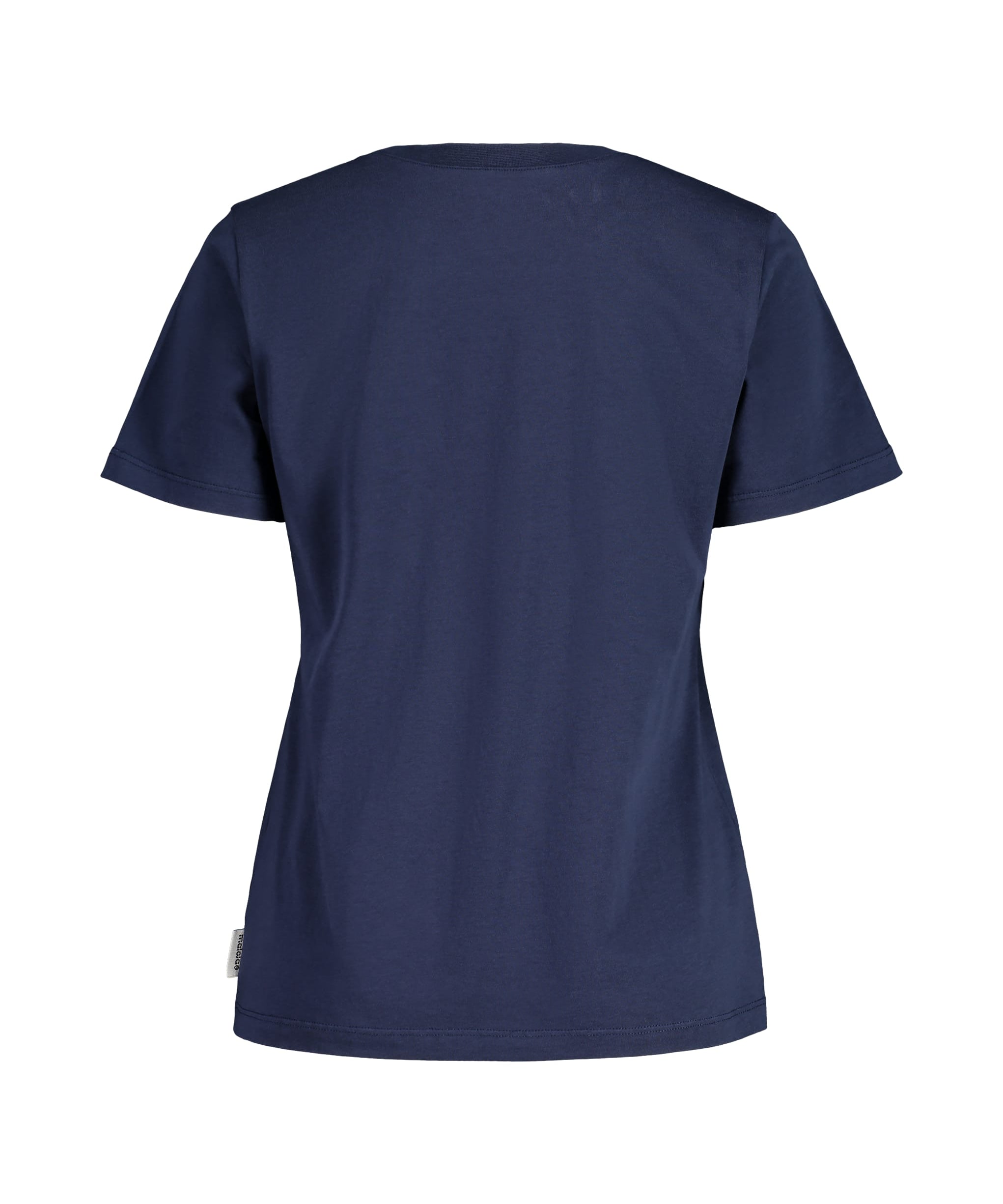 Maloja PlataneM night sky