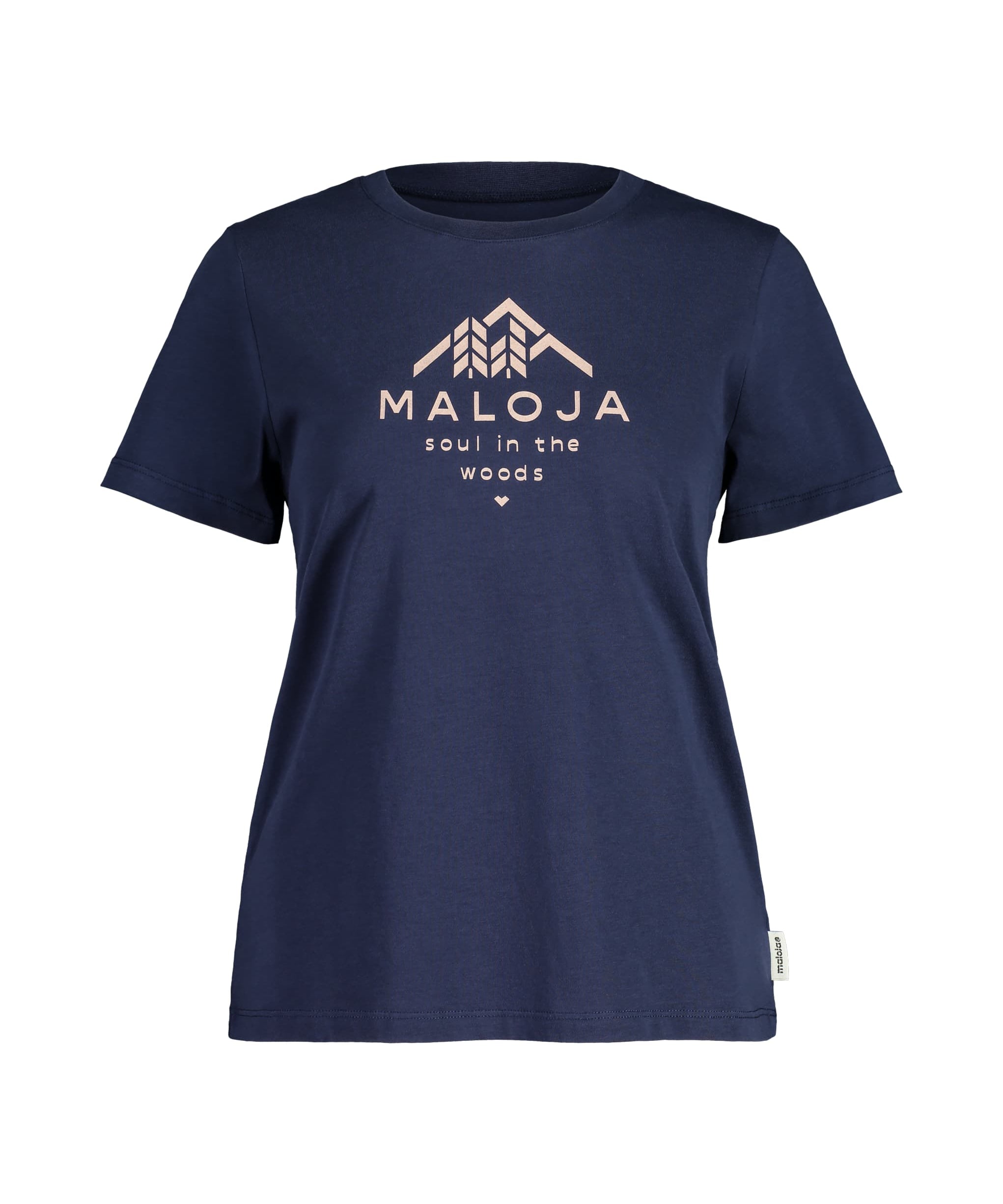 Maloja PlataneM night sky