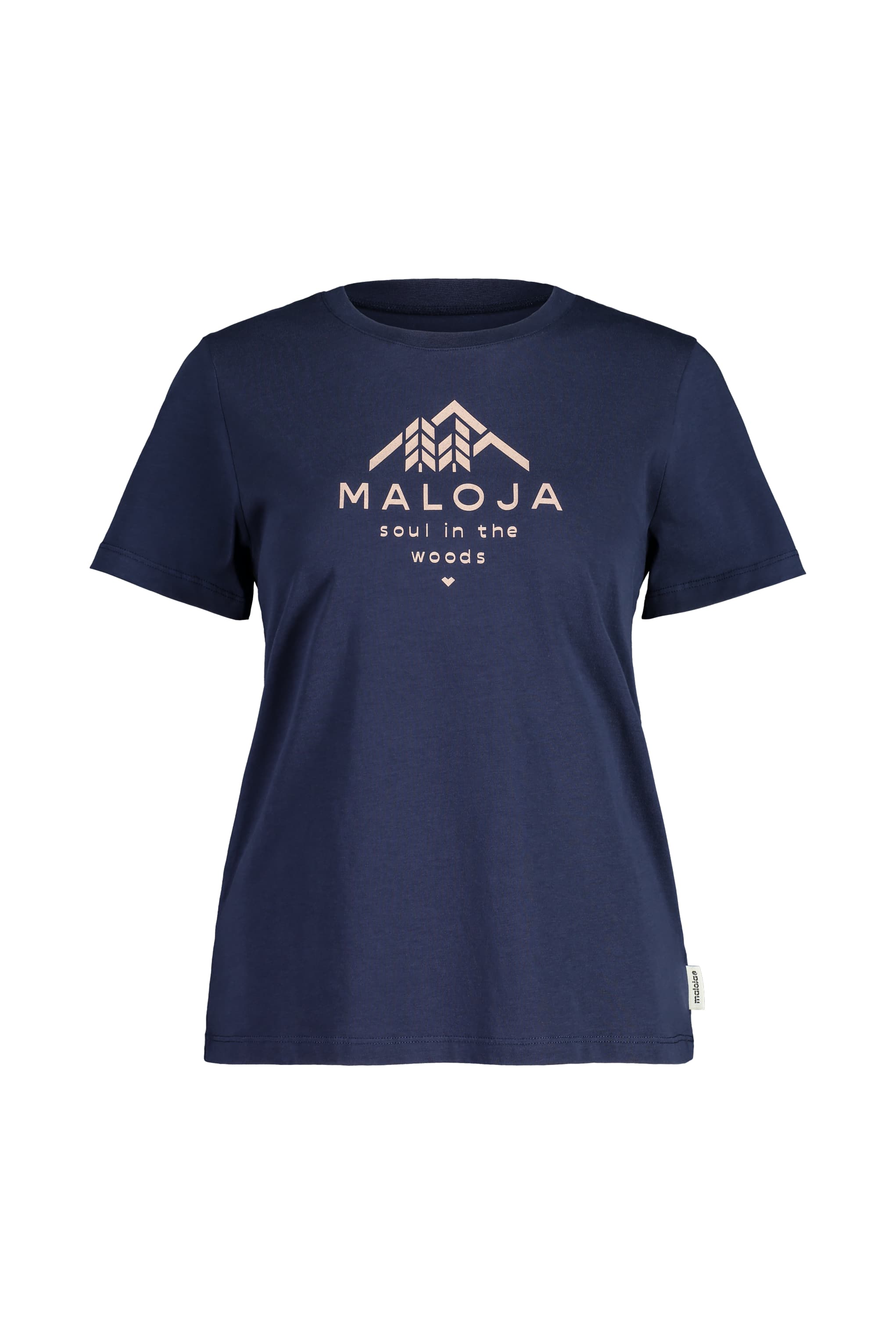 Maloja PlataneM night sky