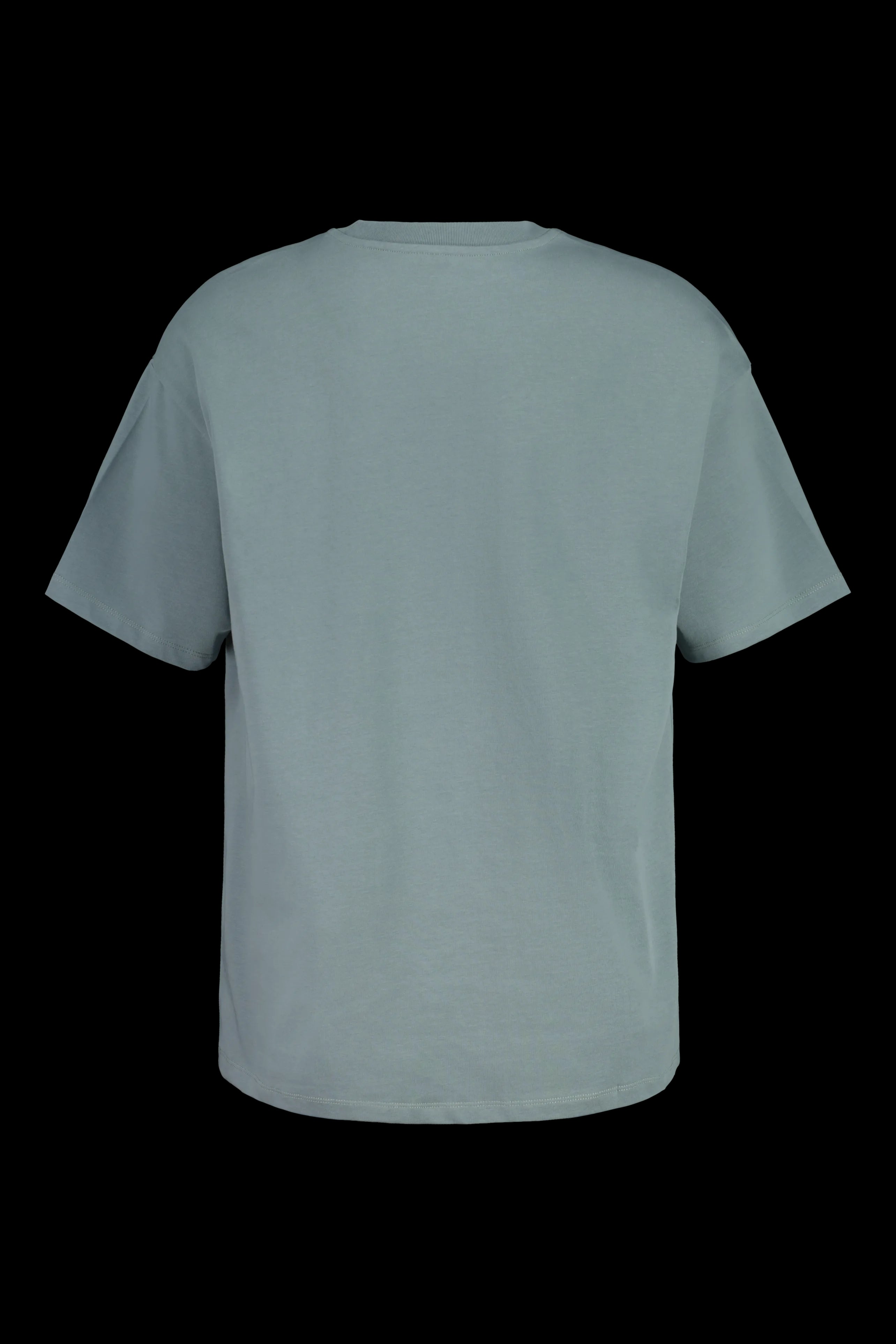 Maloja RenonM. - Organic Cotton T-Shirt sage