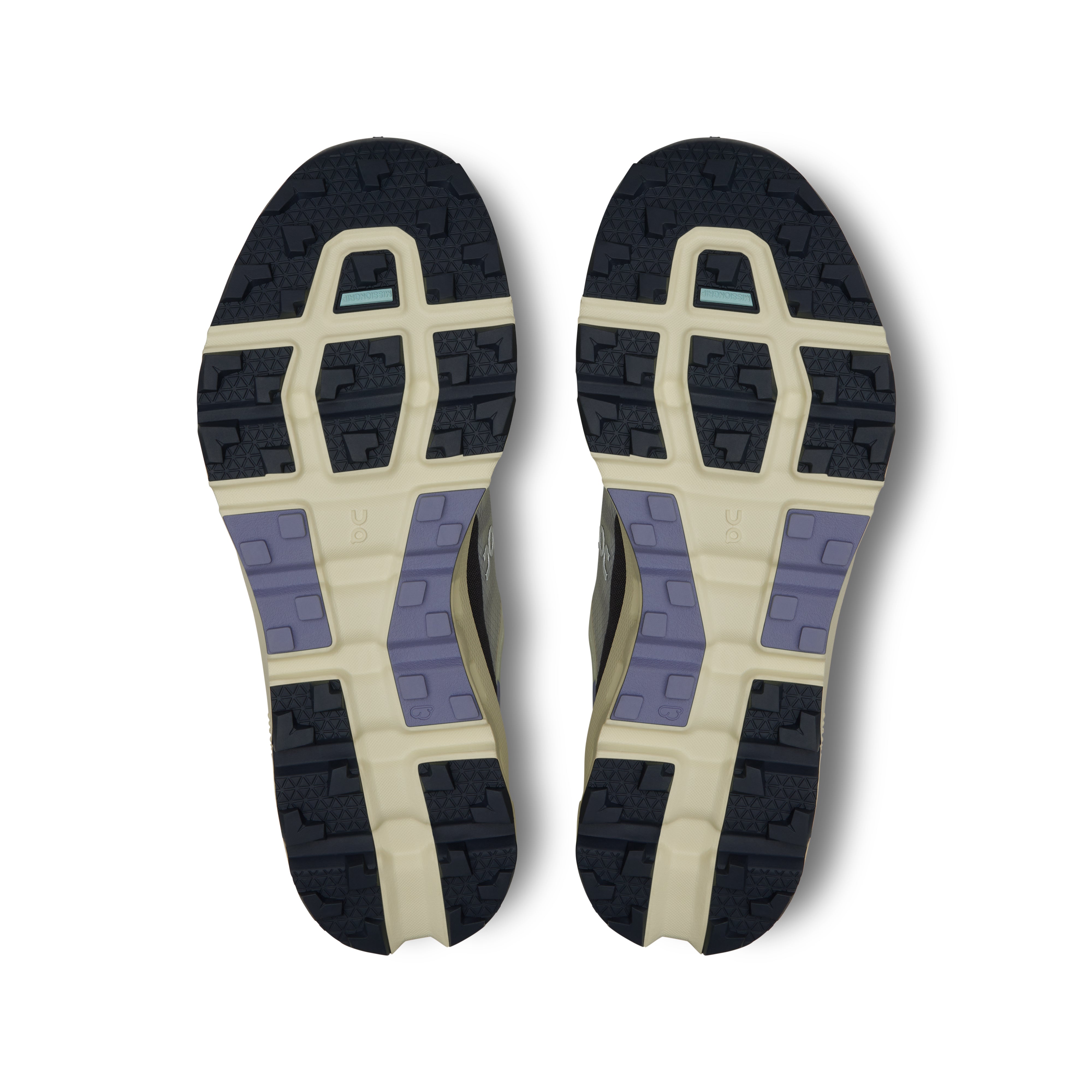 On Cloudvista 2 wmn seedling-mulberry