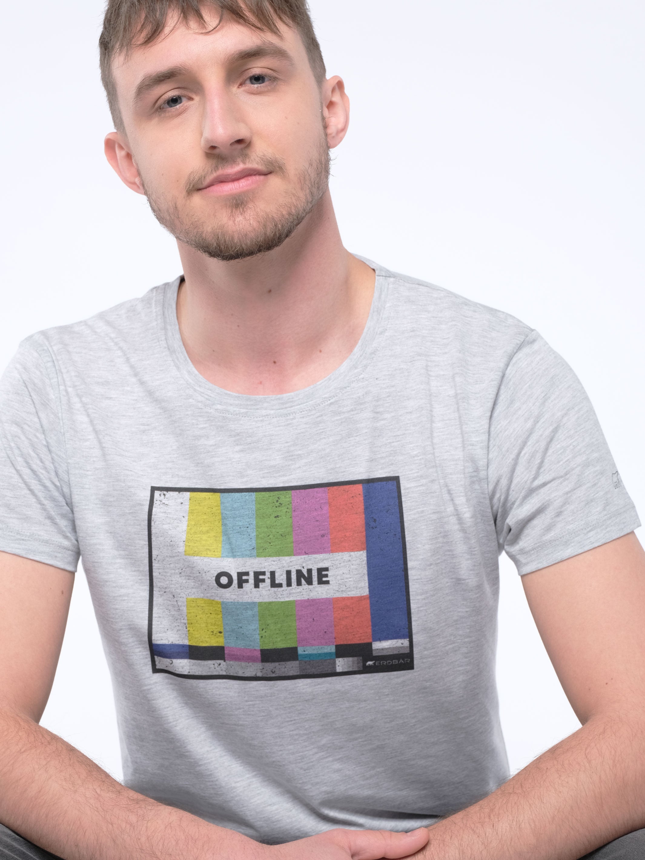 Erdbär T-Shirt Offline grey