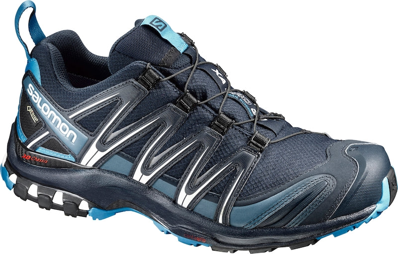 Salomon XA PRO 3D GTX