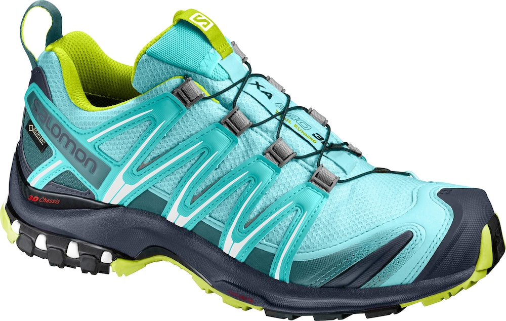 Salomon XA Pro 3D GTX w