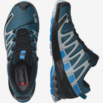 Schuhe XA PRO 3D v8 GTX Mgnt/StoWea/Wht