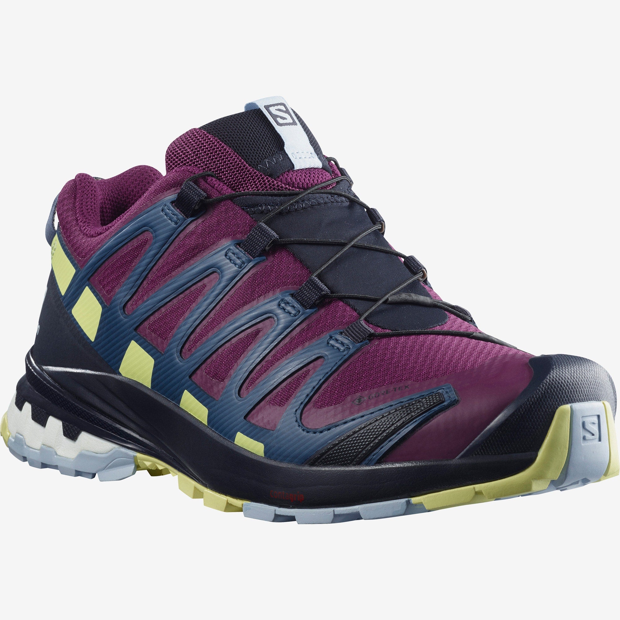 Salomon XA PRO 3D v8 GTX wmn plum caspia