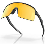 Oakley Sutro Lite matte carbon-prizm 24k