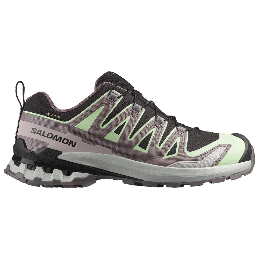 Salomon XA PRO 3D V9 GTX W Black/Pating/Gray Violet