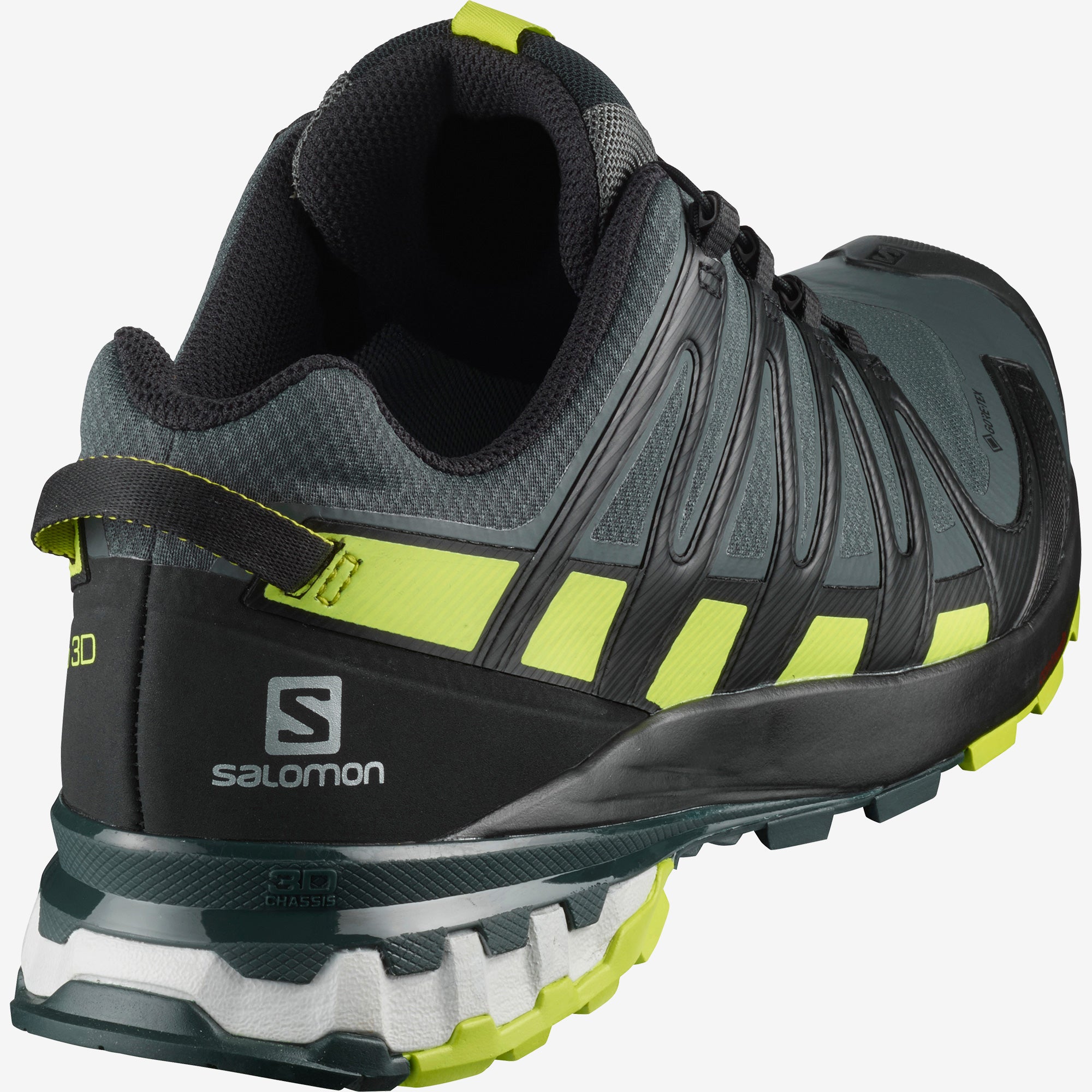 Salomon XA Pro 3D v8 GTX urban chic/black