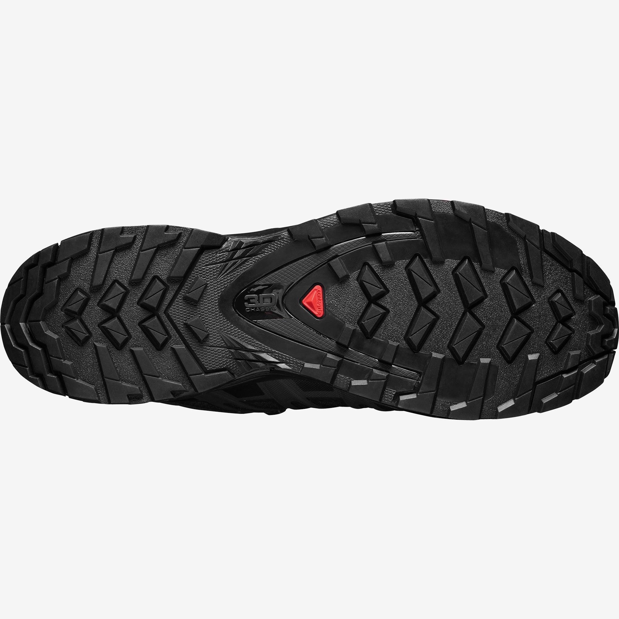 Salomon XA PRO 3D v8 GTX black wmn